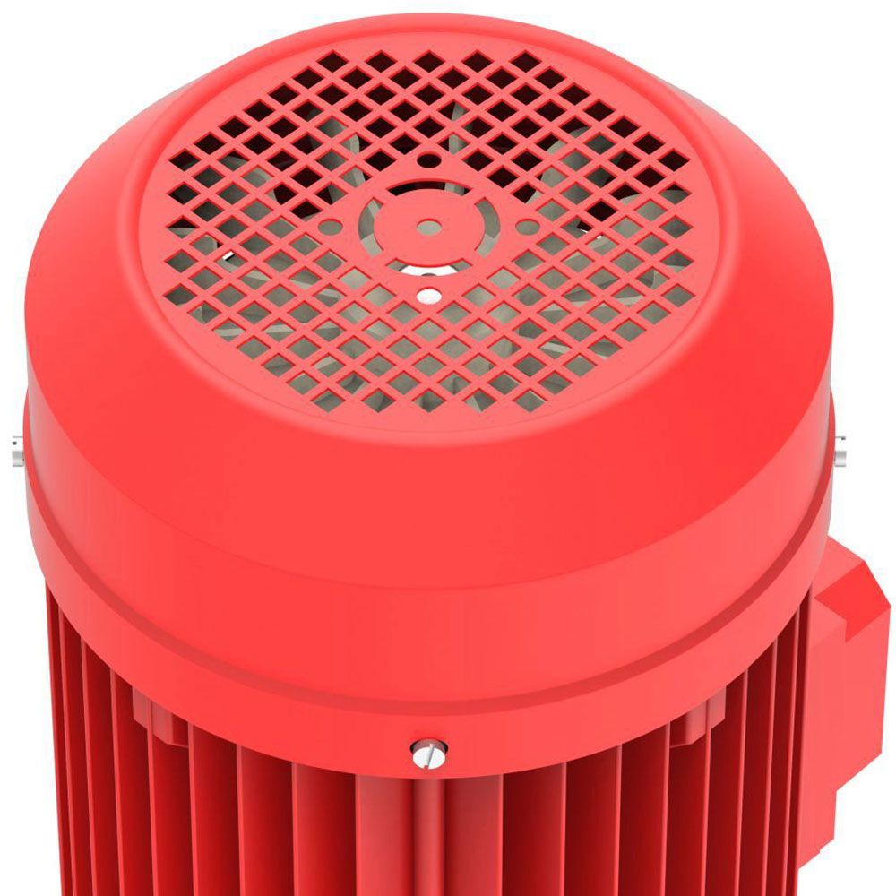 Jockey Pump